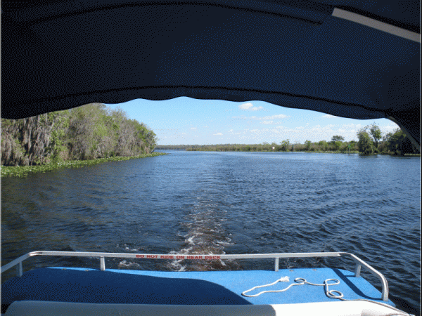 Pontoon boat rental near Orlando Florida
