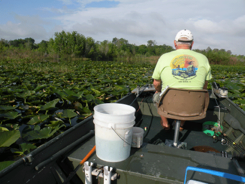 Fishing in Lake Marion near Orlando Florida
