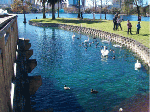 Lake Eola in Orlando - www.orlando-florida-attractions.com