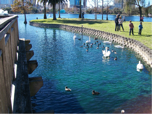 Lake Eola in Orlando - www.orlando-florida-attractions.com