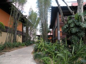 Disney's Polynesian Resort near Orlando