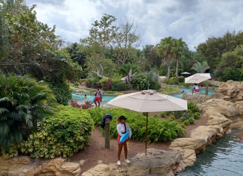 View from the park balcony as you enter the grounds of Discovery Cove